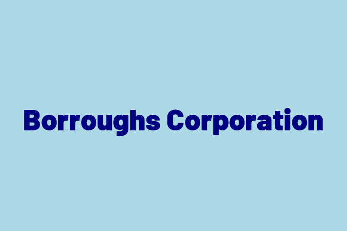 Software Development Company Borroughs Corporation