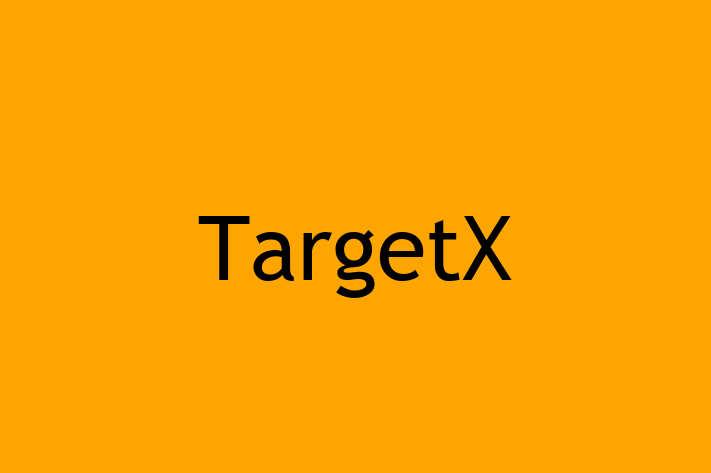 IT Company TargetX