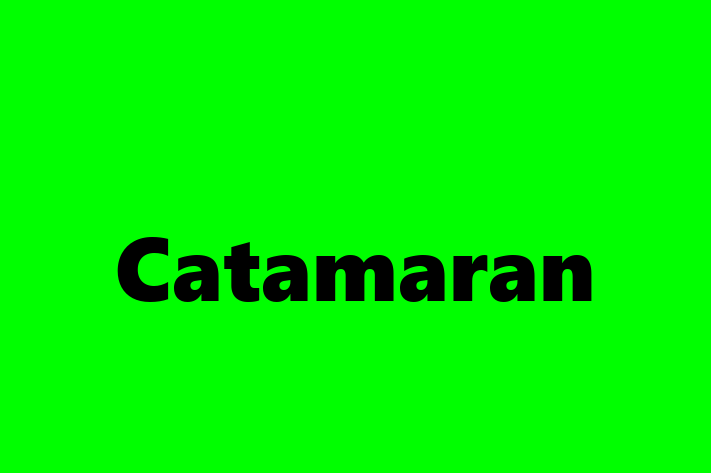 Software Services Company Catamaran