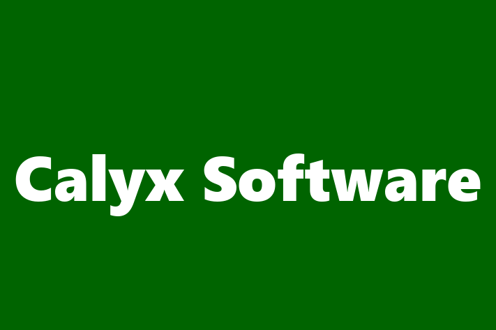 Software Consultancy Calyx Software