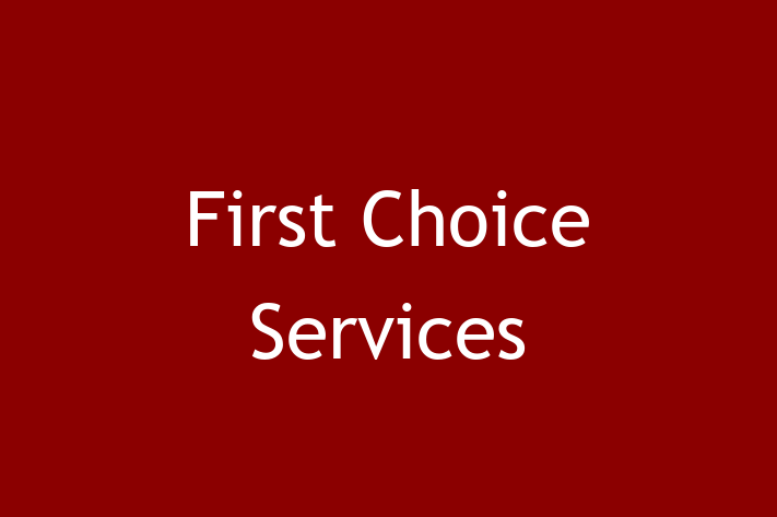 IT Company First Choice Services