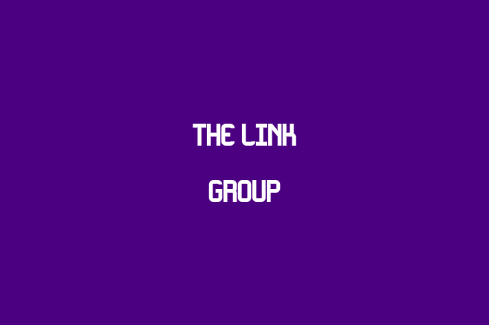 Technology Company The Link Group