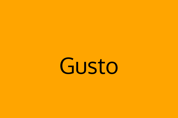 Software Development Company Gusto