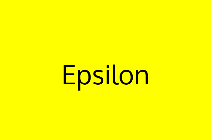 Software Solutions Provider Epsilon