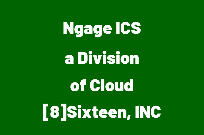 Tech Solutions Company Ngage ICS   a Division of Cloud 8Sixteen INC