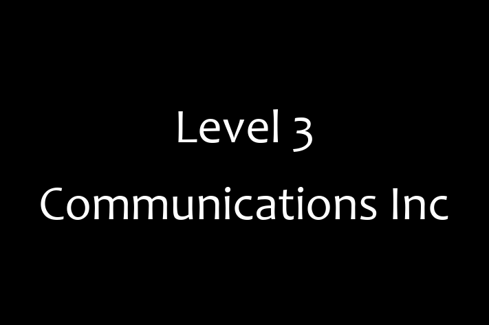 Software Services Company Level 3 Communications Inc