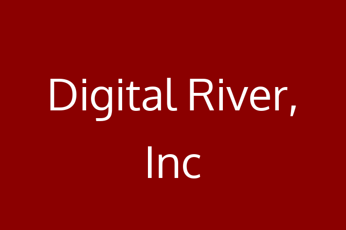 Software Development Company Digital River Inc