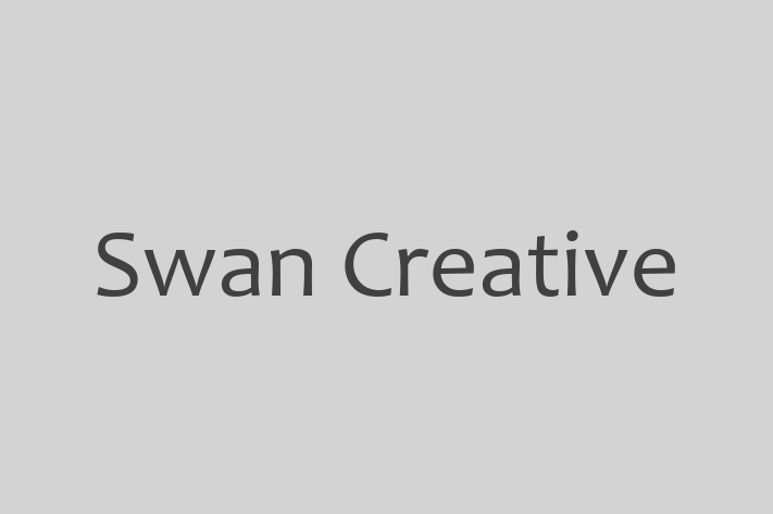 Technology Solutions Firm Swan Creative