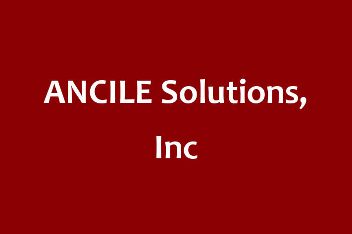 Technology Solutions Firm ANCILE Solutions Inc