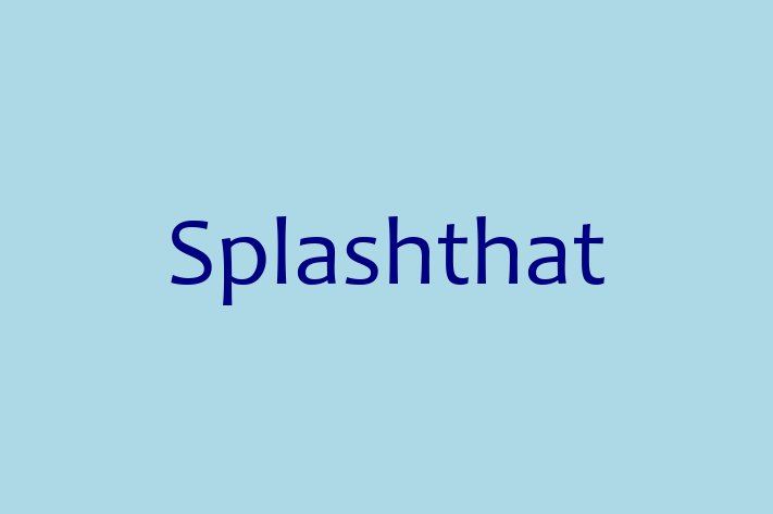 Software Engineering Company Splashthat