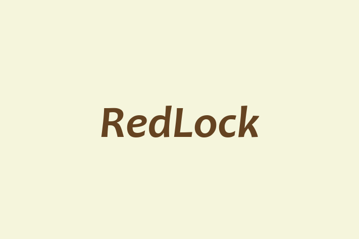 Tech Solutions Company RedLock