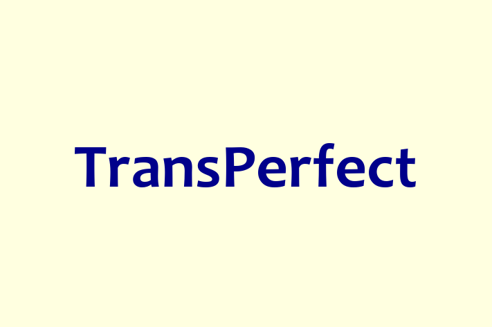 Software Development Company TransPerfect