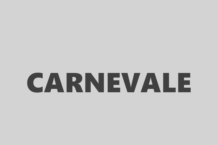 Technology Solutions Firm CARNEVALE