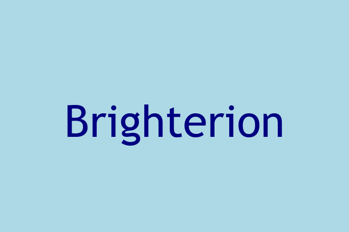 Software Solutions Provider Brighterion