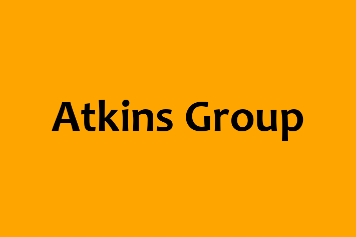 Technology Company Atkins Group