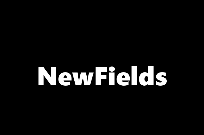 Software Development Company NewFields