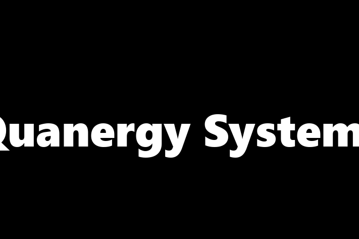 Technology Solutions Firm Quanergy Systems