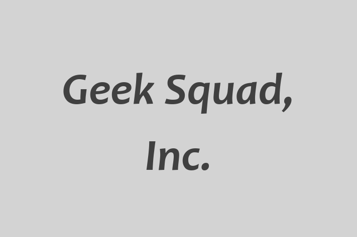 Application Development Company Geek Squad Inc.