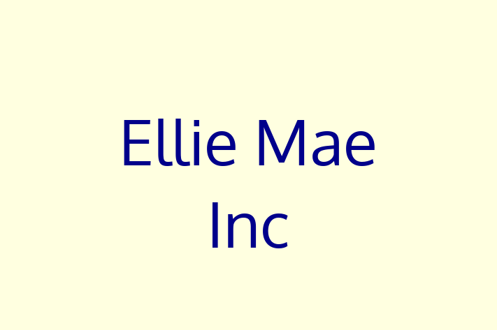 Application Development Company Ellie Mae Inc