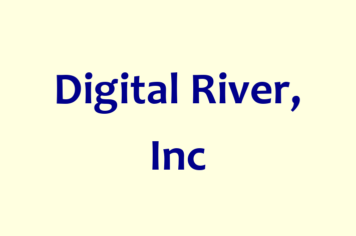 Application Development Company Digital River Inc