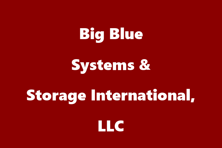 Technology Company Big Blue Systems  Storage International LLC