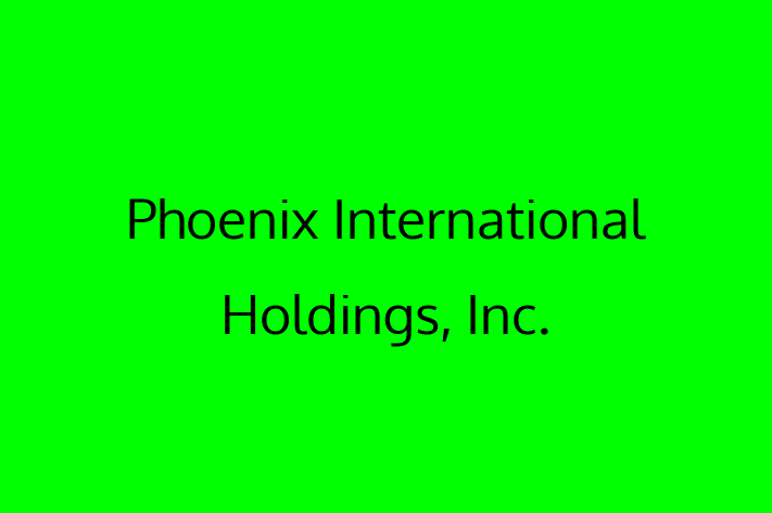 Software Services Company Phoenix International Holdings Inc.