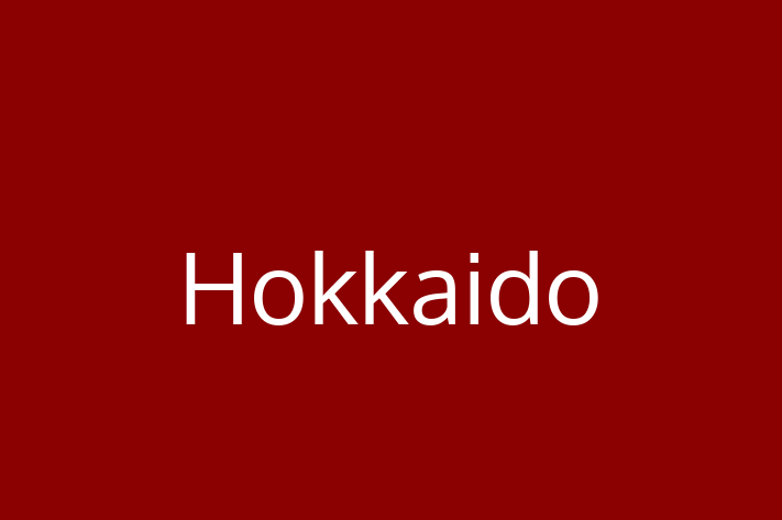 Dog Hokkaido for Sale in Thornton