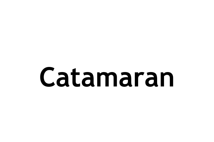 Digital Solutions Provider Catamaran