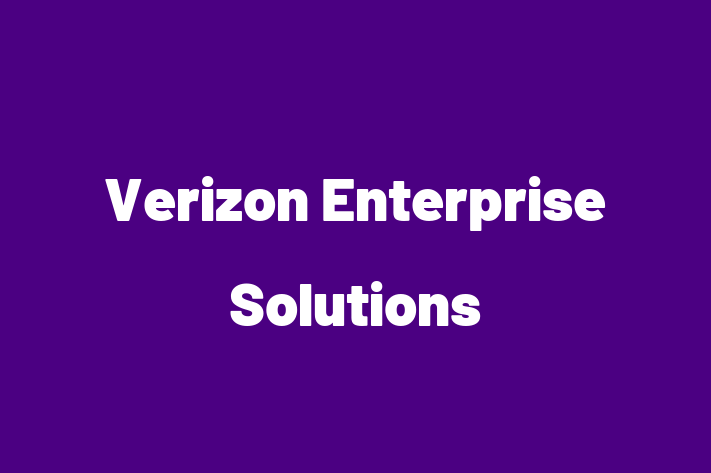 Application Development Company Verizon Enterprise Solutions