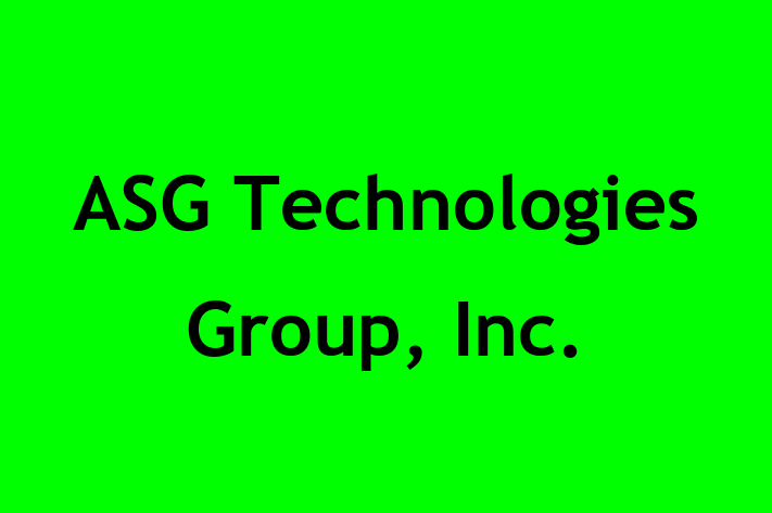 Tech Solutions Company ASG Technologies Group Inc.