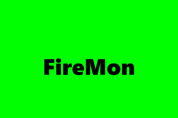 Software Consultancy FireMon