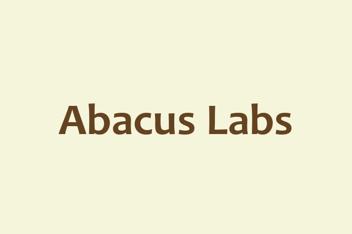 Tech Solutions Company Abacus Labs