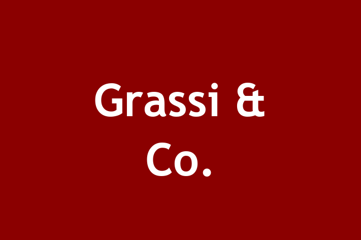 Human Capital Management Grassi Co.