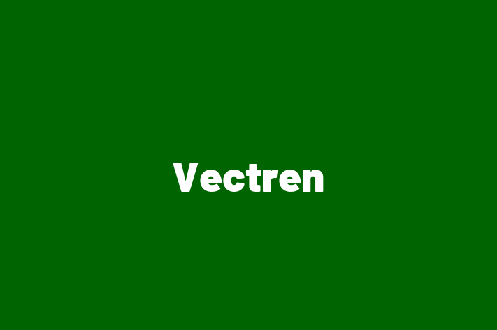 Tech Solutions Company Vectren