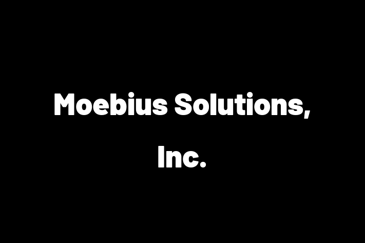 Software Engineering Company Moebius Solutions Inc.