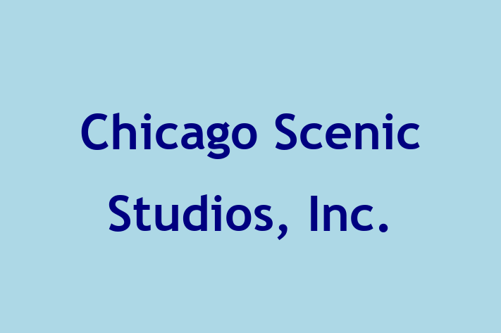 Tech Solutions Company Chicago Scenic Studios Inc.