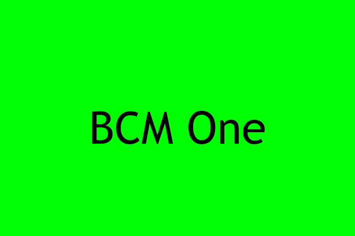 Tech Firm BCM One