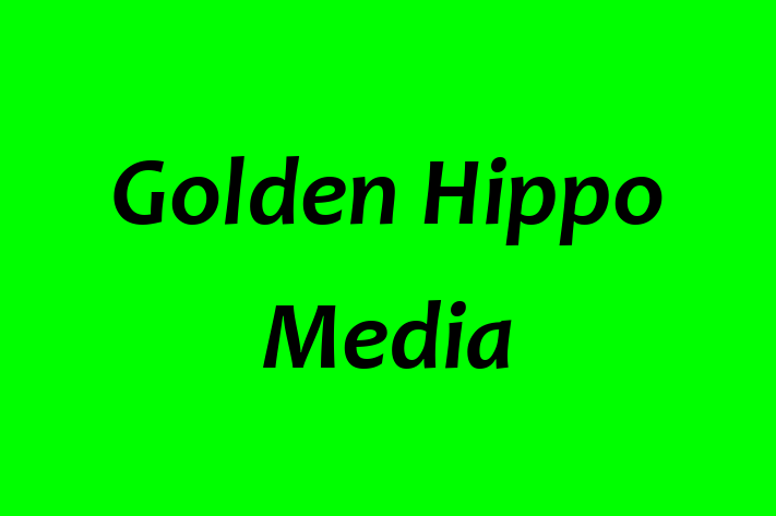 Digital Solutions Provider Golden Hippo Media