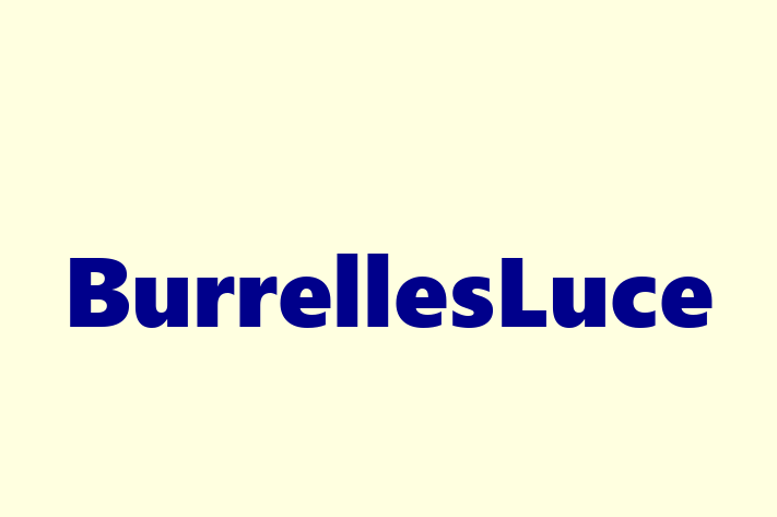 Tech Solutions Company BurrellesLuce