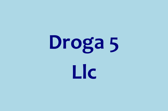 Application Development Company Droga 5 Llc