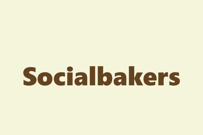 Application Development Company Socialbakers