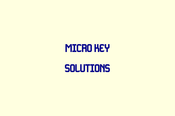 Software Consultancy Micro Key Solutions