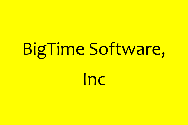 Software Solutions Provider BigTime Software Inc