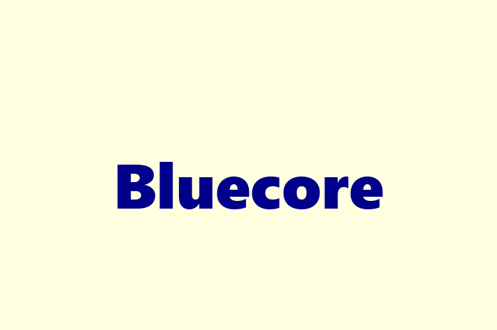 Software Development Firm Bluecore