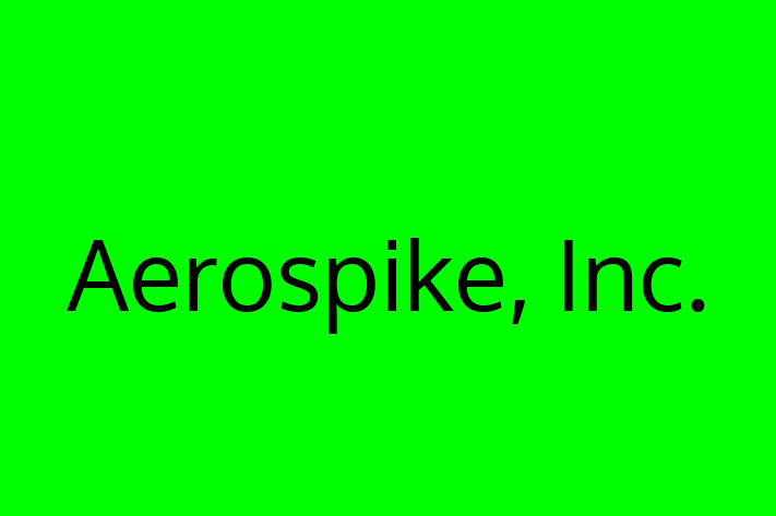 Technology Company Aerospike Inc.