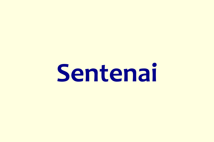 IT Company Sentenai