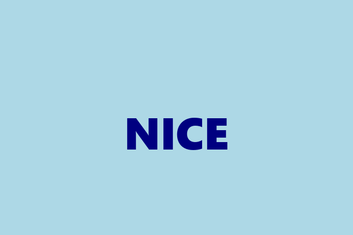 Software Consultancy NICE