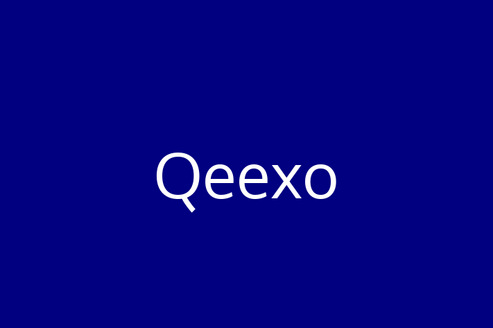 Application Development Company Qeexo