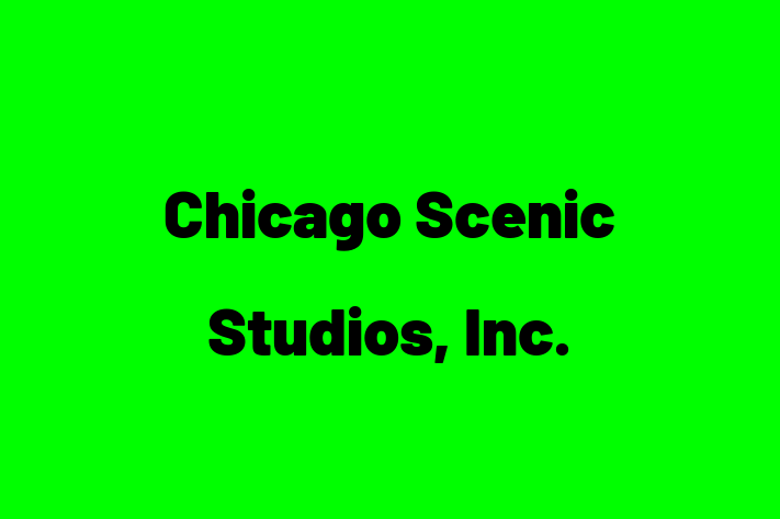 IT Company Chicago Scenic Studios Inc.