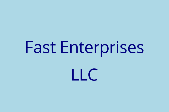 Technology Company Fast Enterprises LLC